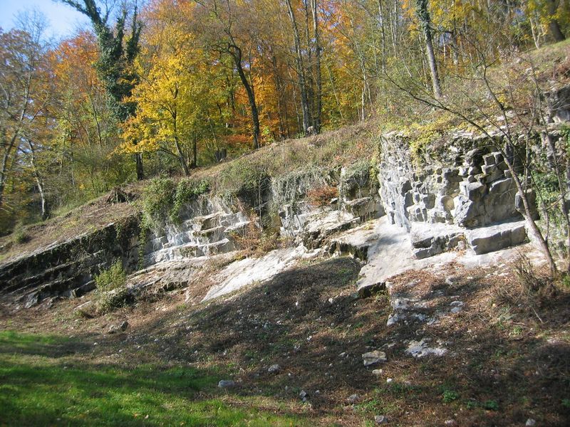 Ehemaliger Steinbruch im Sonderwaldreservat Sonnenberg, Bild ecolinnea